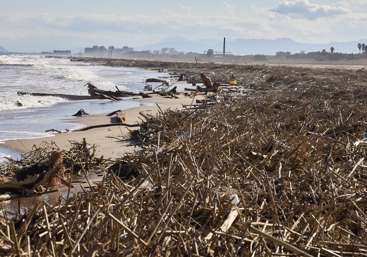 Todo tipo de vegetación y objetos arrastrados por el torrente incontrolado se acumulan en la playa de Pinedo.