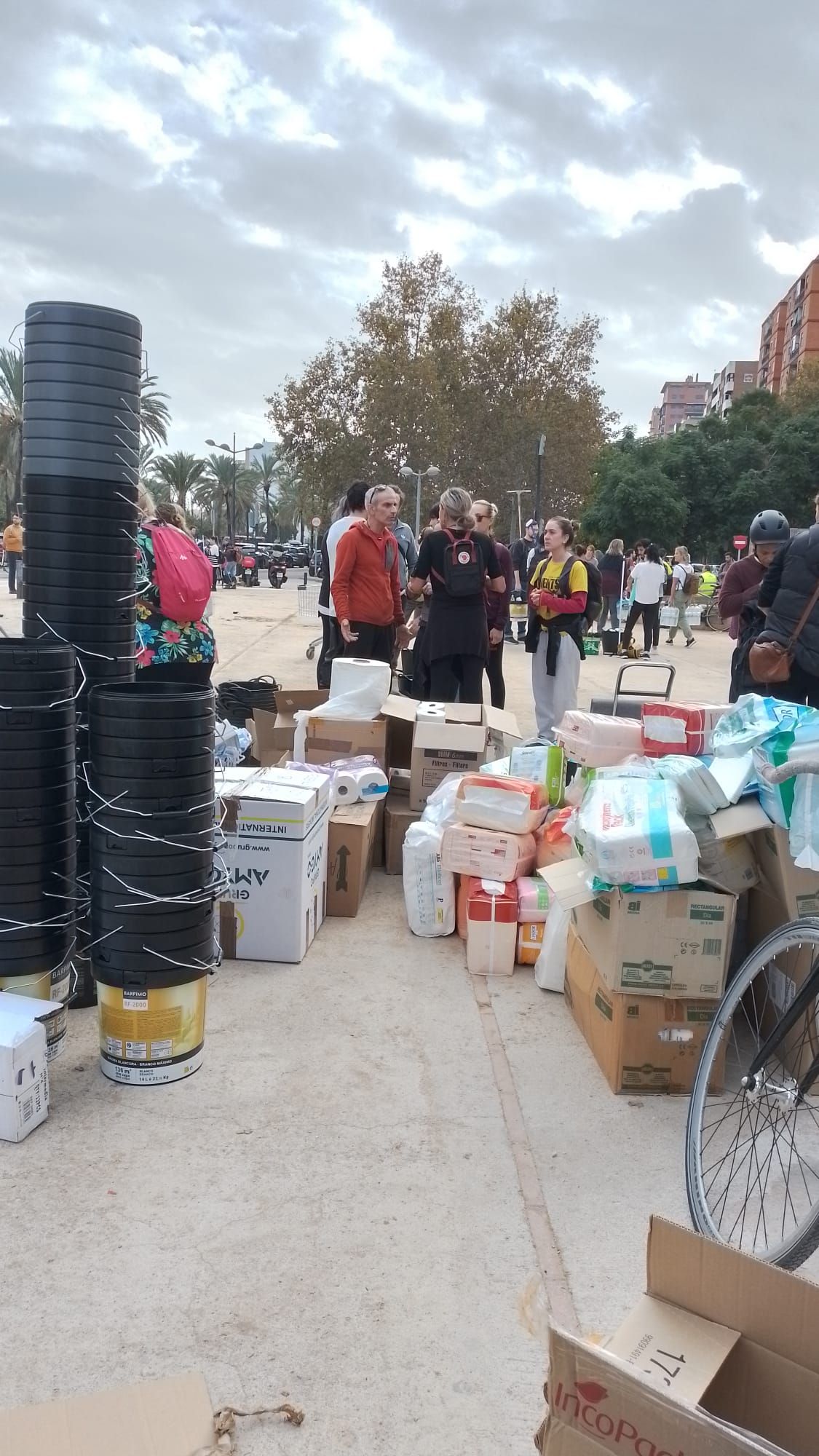 Fotos: la oleada de voluntarios continúa imparable