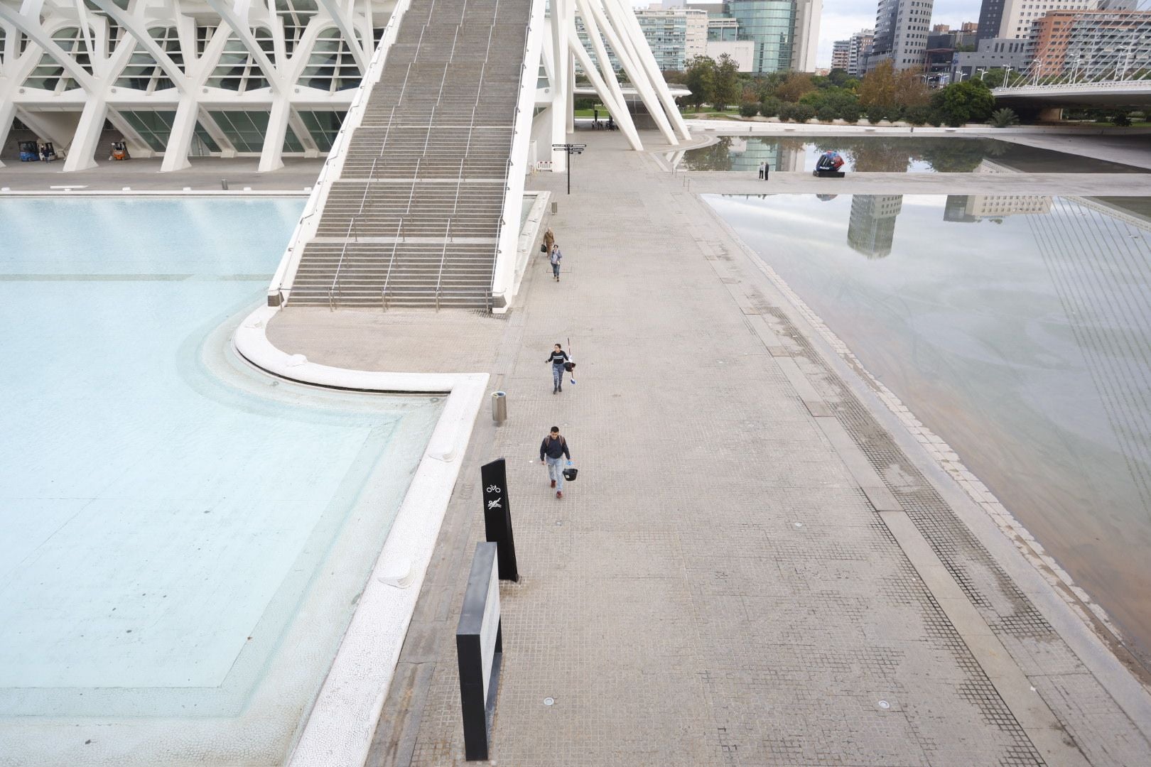 Fotos: voluntarios en la Ciudad de las Artes y las Ciencias de Valencia