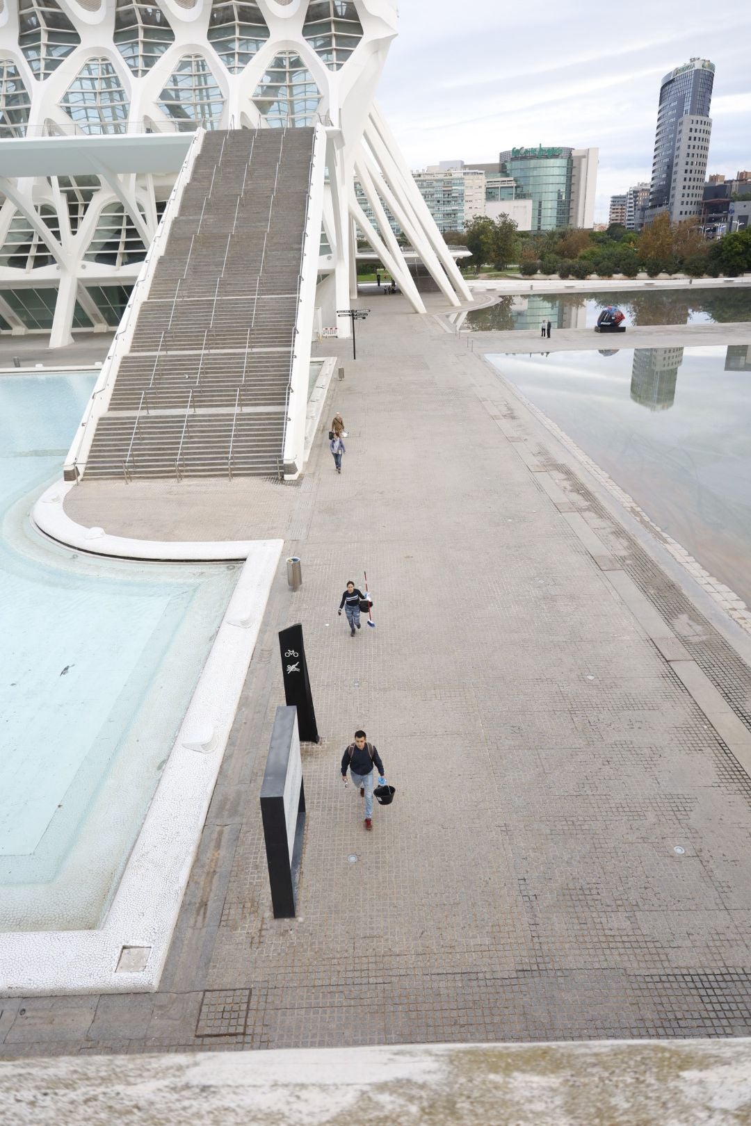 Fotos: voluntarios en la Ciudad de las Artes y las Ciencias de Valencia