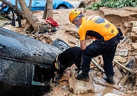 Mica rastrea en un coche semi enterrado en el barranco de Paiporta mientras Manuel la observa.
