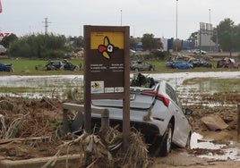 Vehículos dentro de arrozales en el parque de la Albufera.