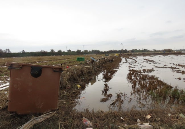 Contenedor de basura en un arrozal.