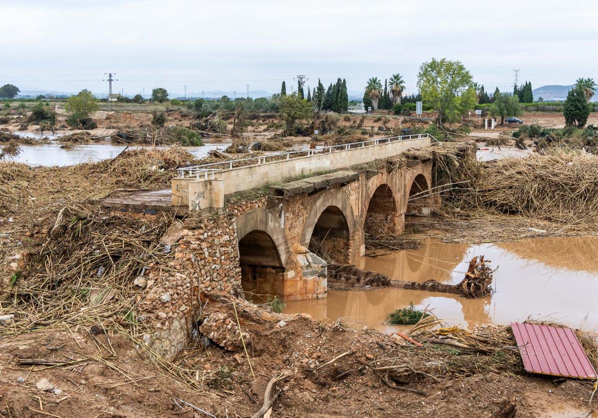 FOTOS | El Parque Natural del Turia ya no existe