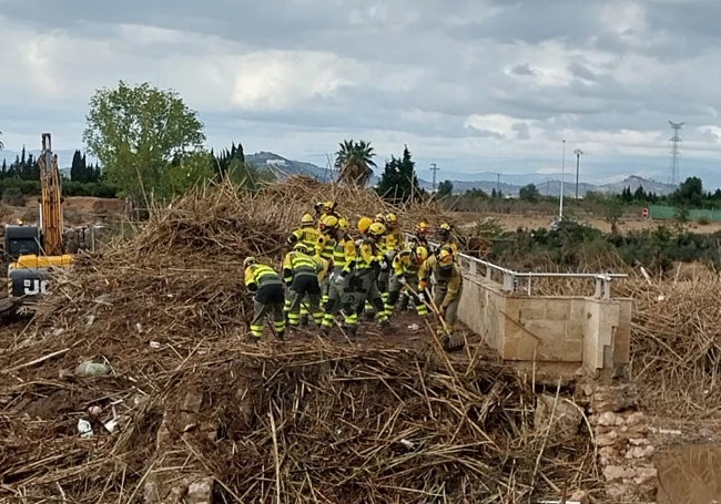 Limpieza de cañas por un grupo de brigadas forestales.