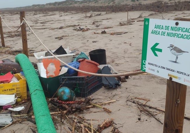 Zona protegida para nidos cubierta de basura.