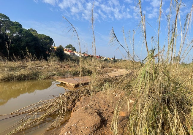 El camino fluvial junto al Turia ha quedado destrozado.