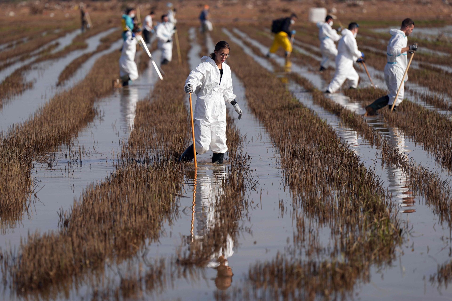 La desoladora imagen de la Albufera tras la DANA