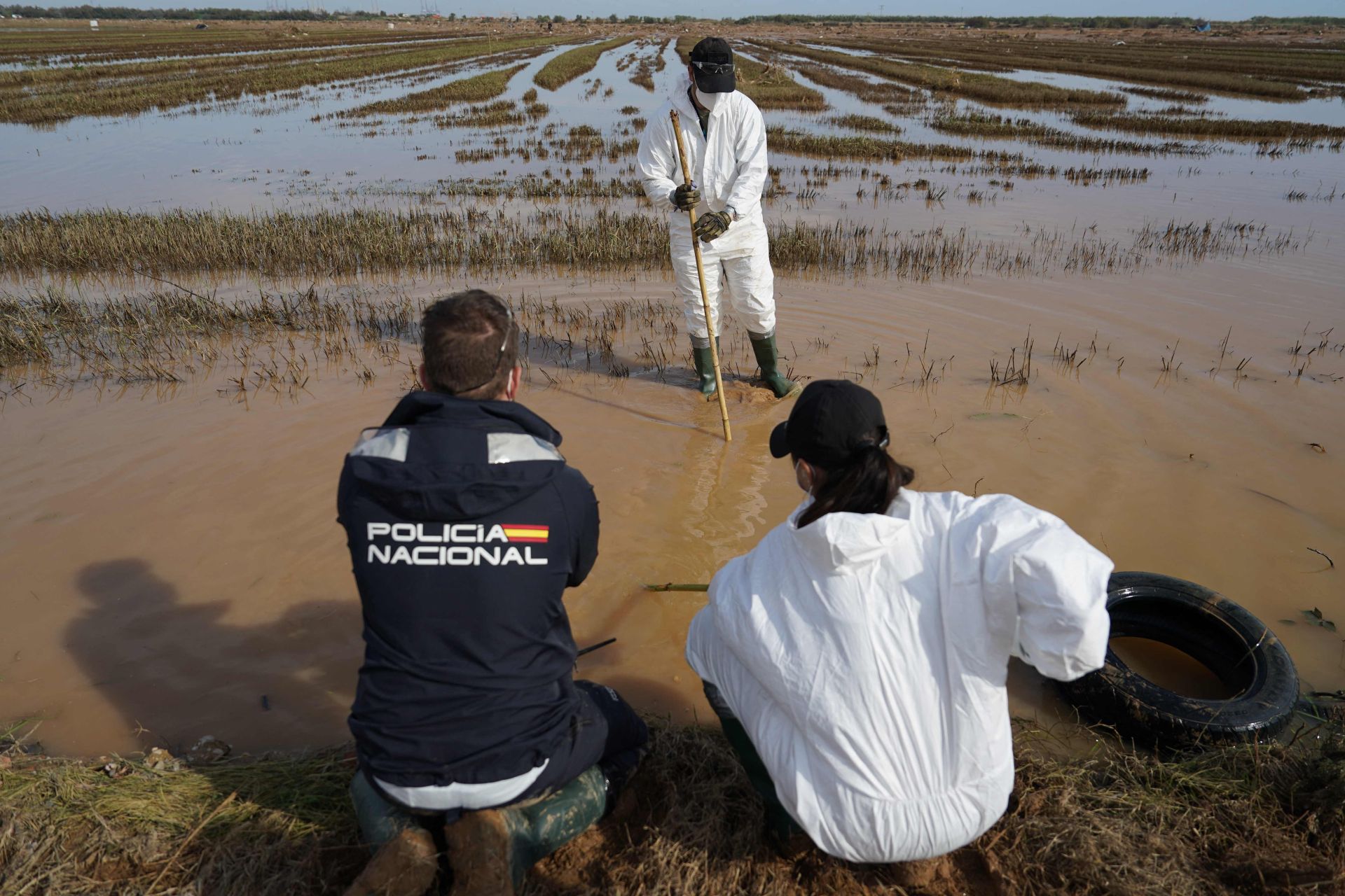 La desoladora imagen de la Albufera tras la DANA