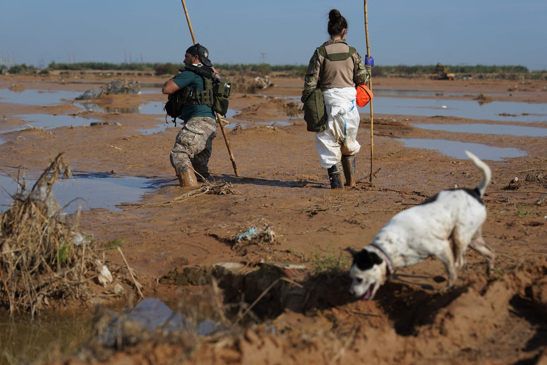 La desoladora imagen de la Albufera tras la DANA