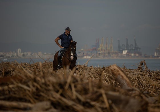 Un hombre monta a caballo en la playa de El Saler tras el paso de la DANA.