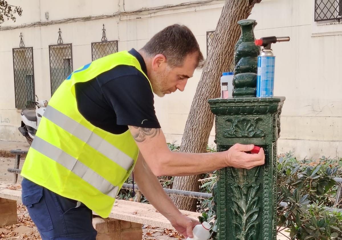 Análisis de una fuente de agua en Valencia.