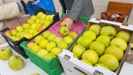 La manzana esperiega, un producto típico del interior de la Comunitat.