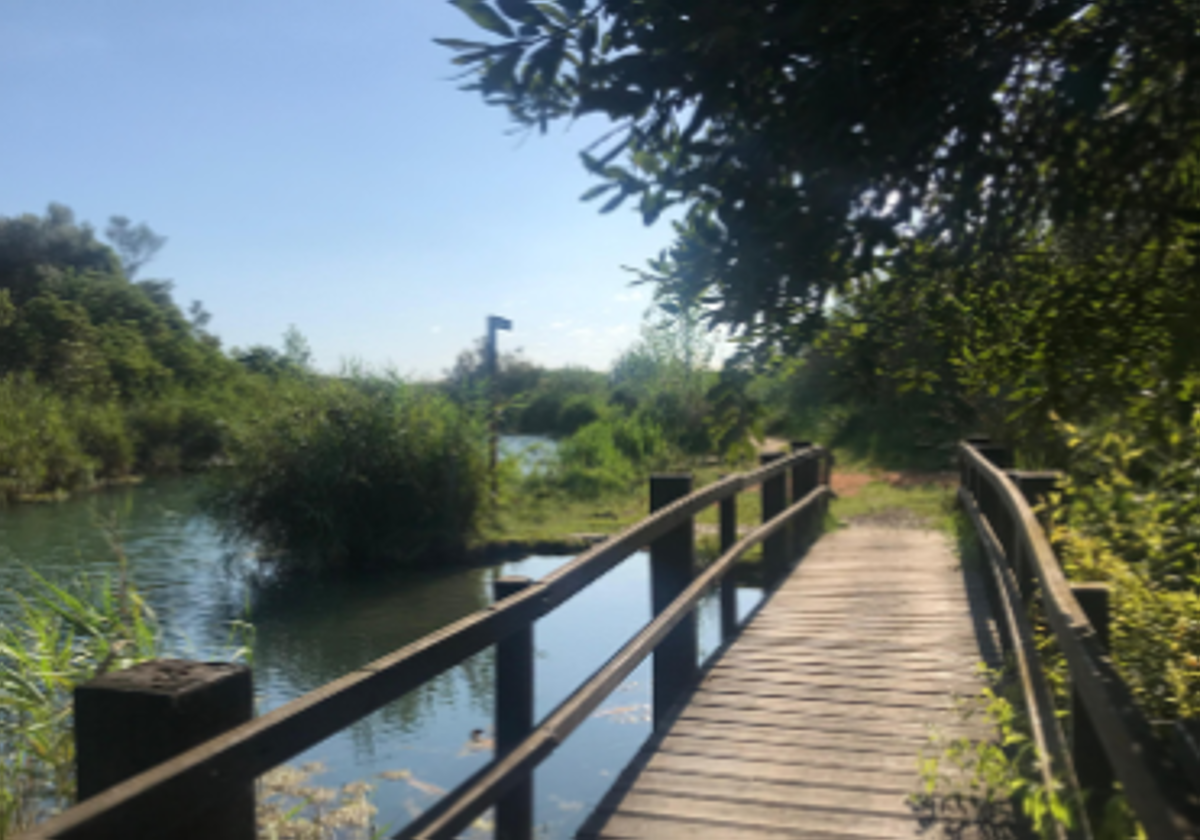 Un pequeño puente en el río Salimar.