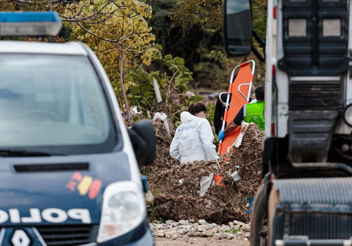 Hallan un cuerpo en un descampado de Sedaví durante los trabajos de búsqueda de desaparecidos por la DANA