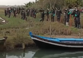 La búsqueda de los desaparecidos tras la DANA lleva a rastrear metro a metro l'Albufera