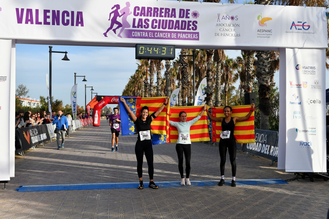 Búscate en la carrera contra el cáncer de pancreas 2024 de Valencia