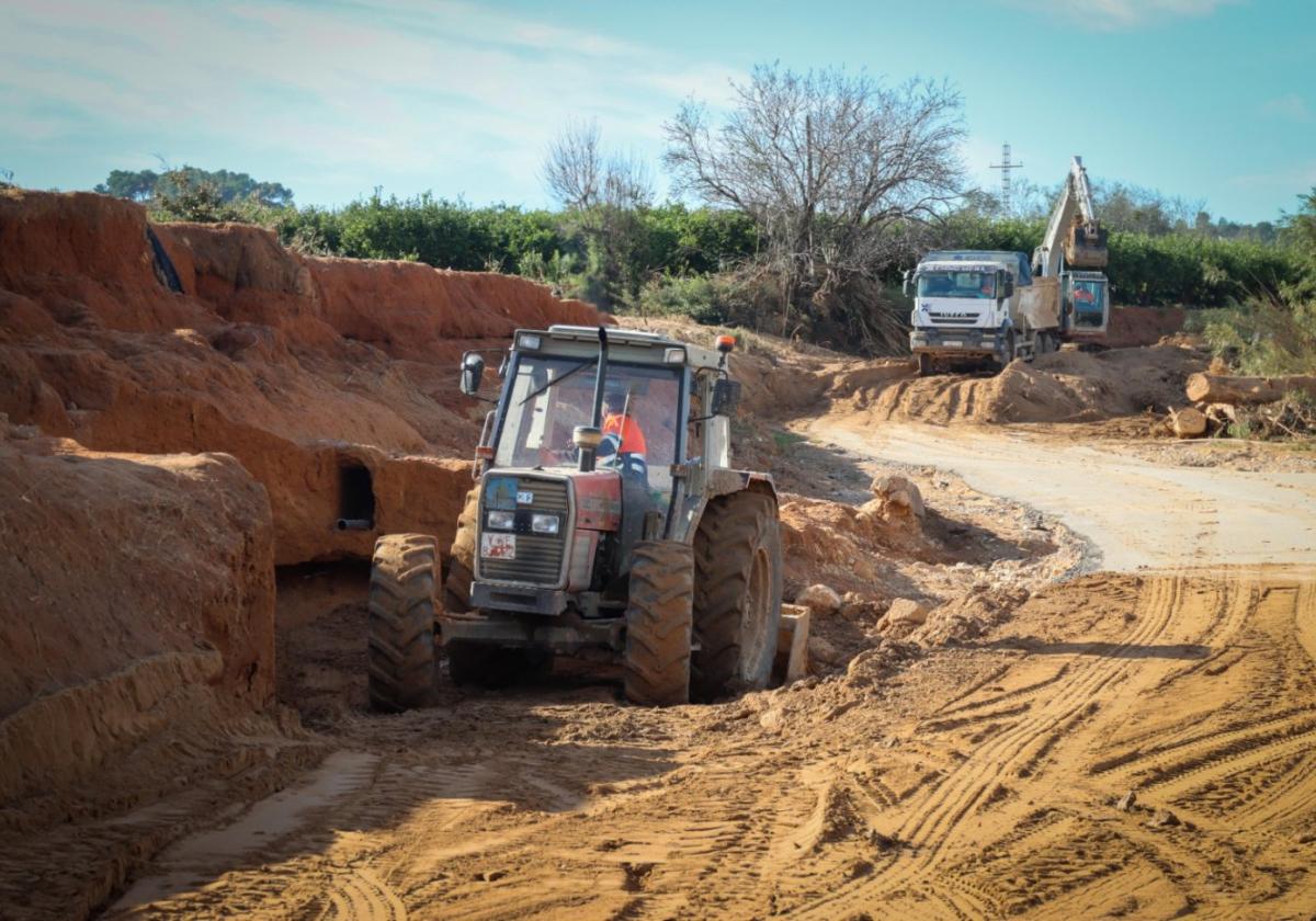 Los trabajos están siendo coordinados por el Consell Agrari Municipal.