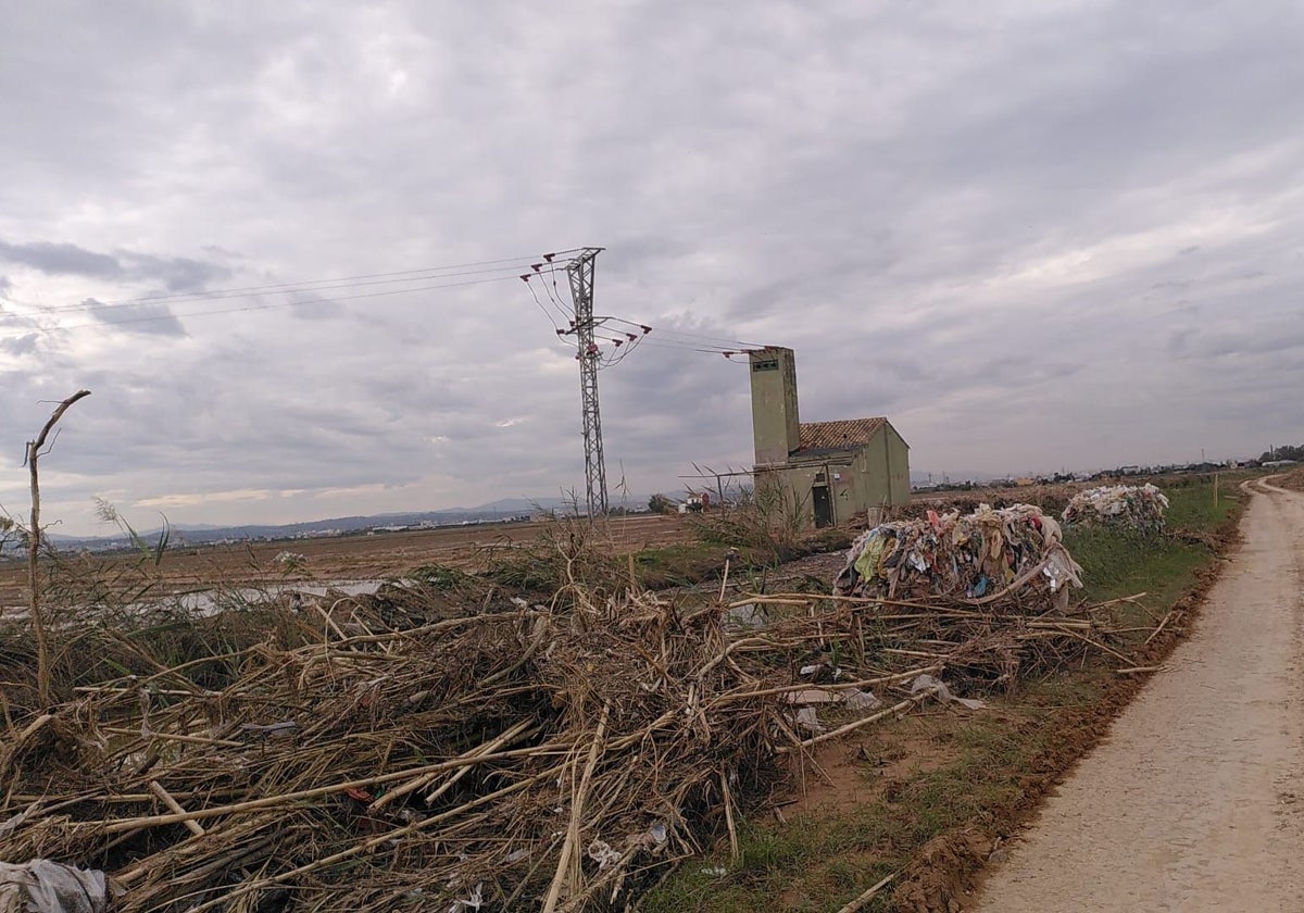 Basura arrastrada pro la DANA acumulada en un camino del parque de la Albufera.