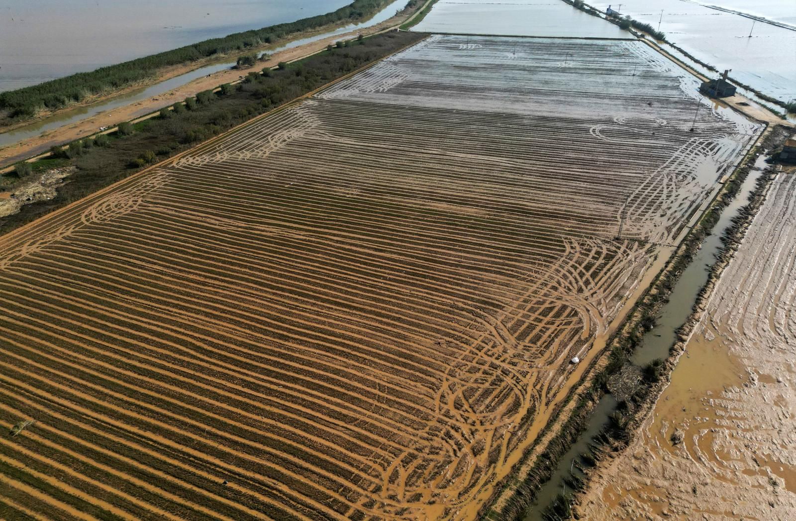 Así está la Albufera de Valencia tras el paso de la DANA