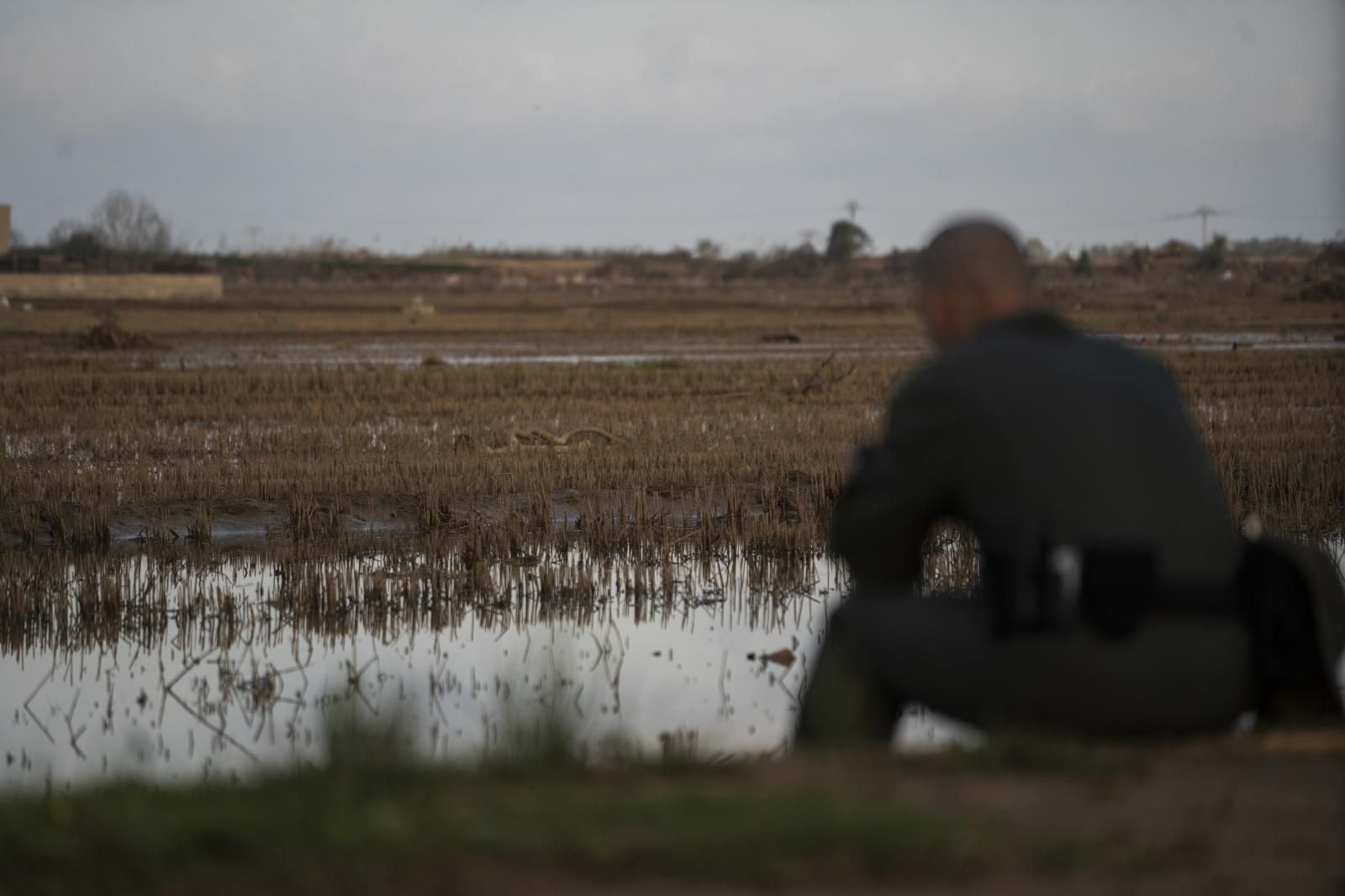 Así está la Albufera de Valencia tras el paso de la DANA