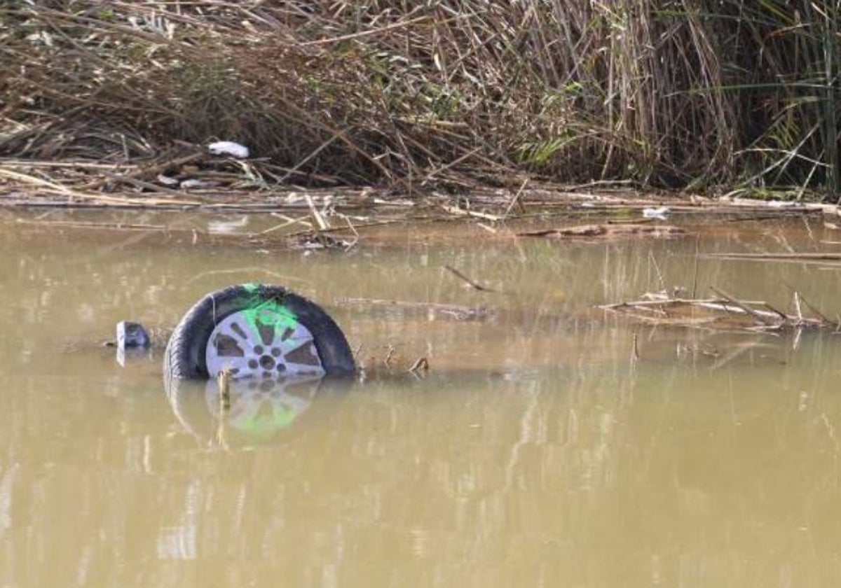 Un coche, hundido en la Albufera tras la DANA.