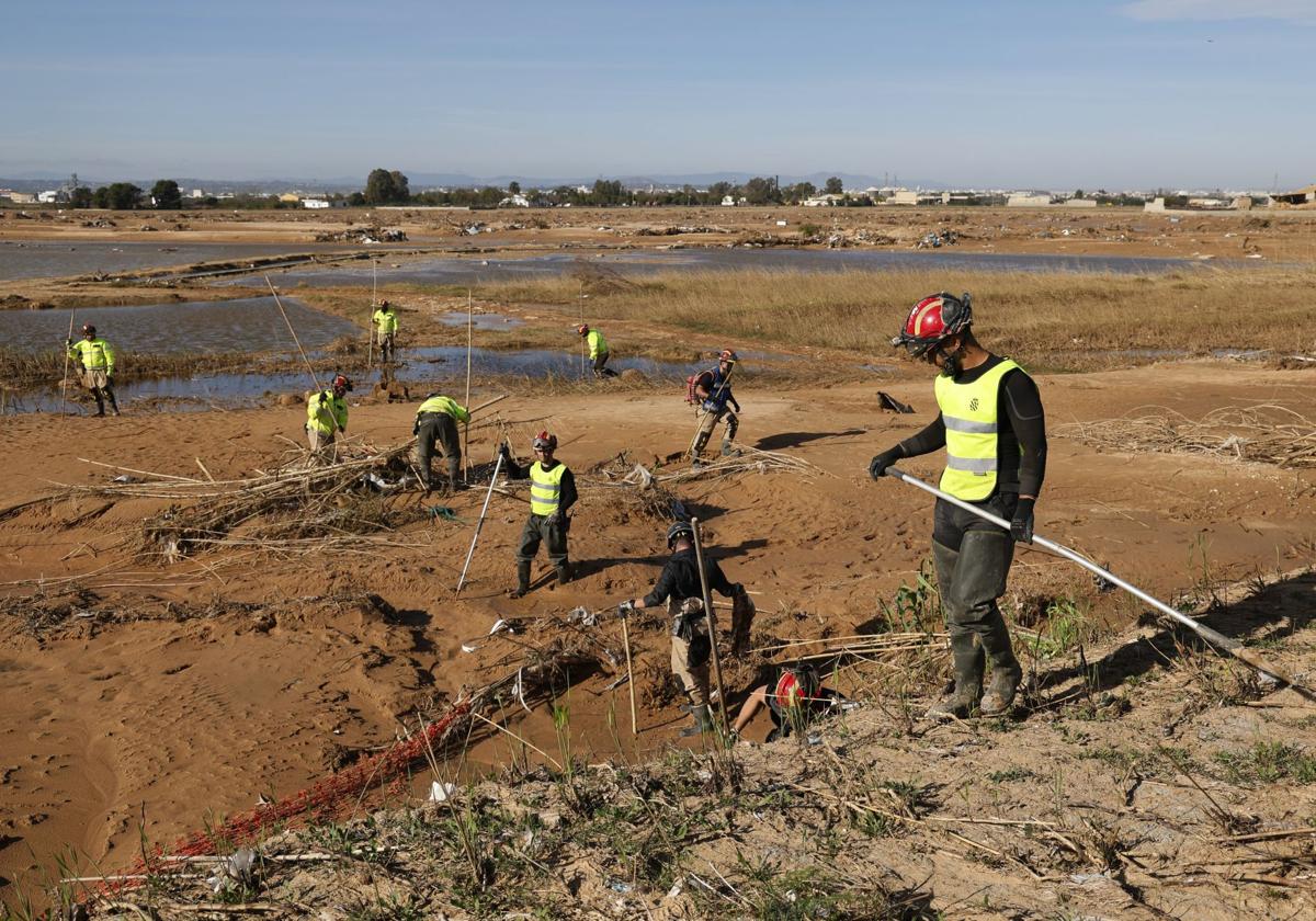 Militares de la UME buscan en los arrozales de Catarroja.