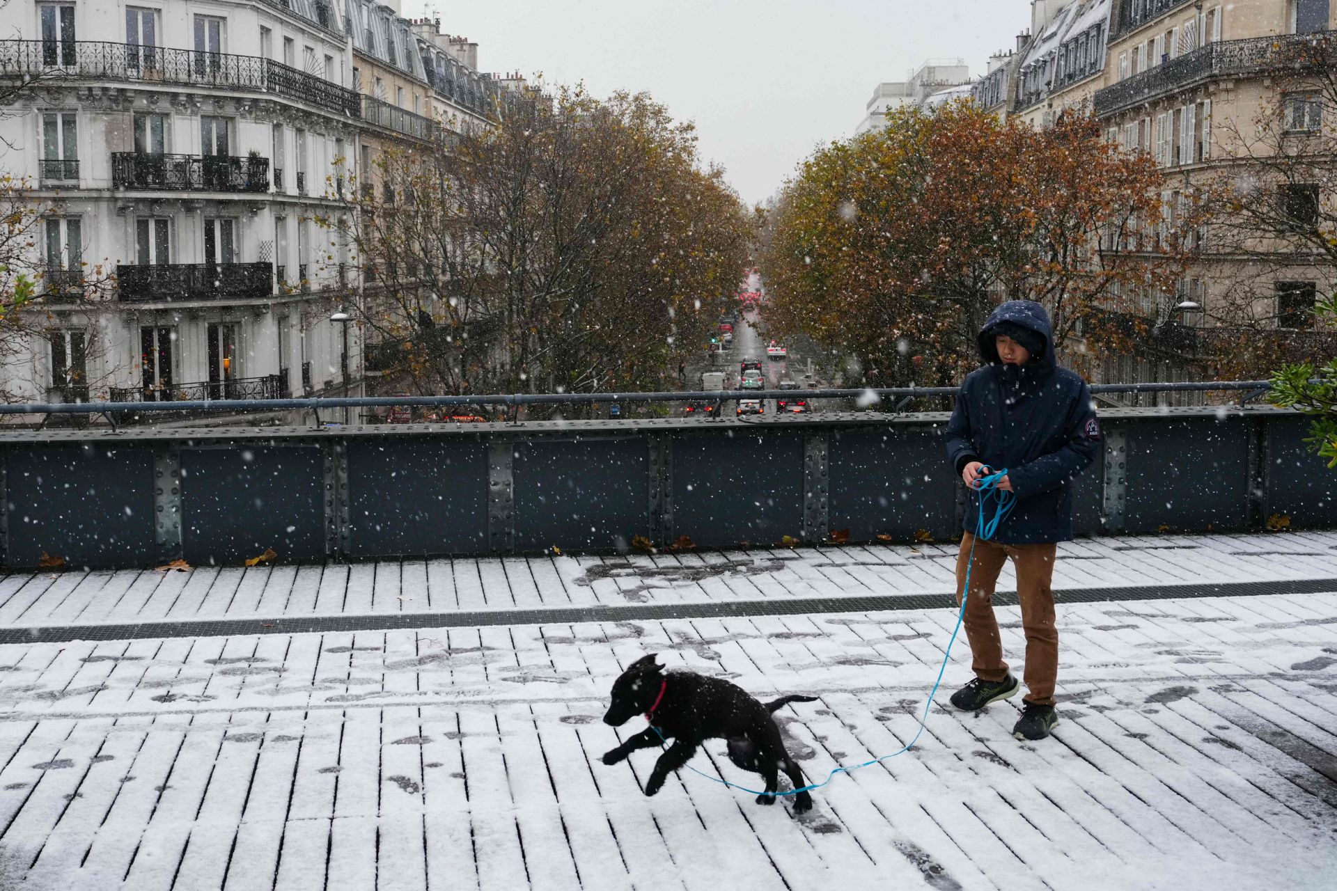 La nieve hace más bonita París: así está Notre Dame bajo un manto blanco