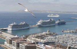 Cruceros en el Puerto de Alicante, en una imagen de archivo.