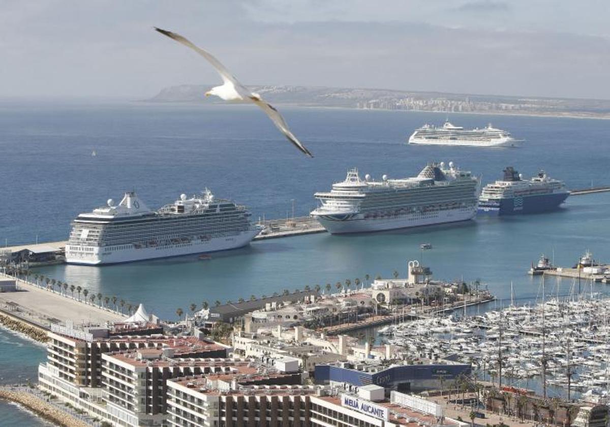 Cruceros en el Puerto de Alicante, en una imagen de archivo.