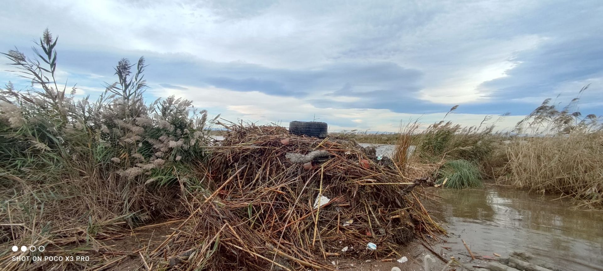 Residuos arrastrados por la DANA en la Albufera