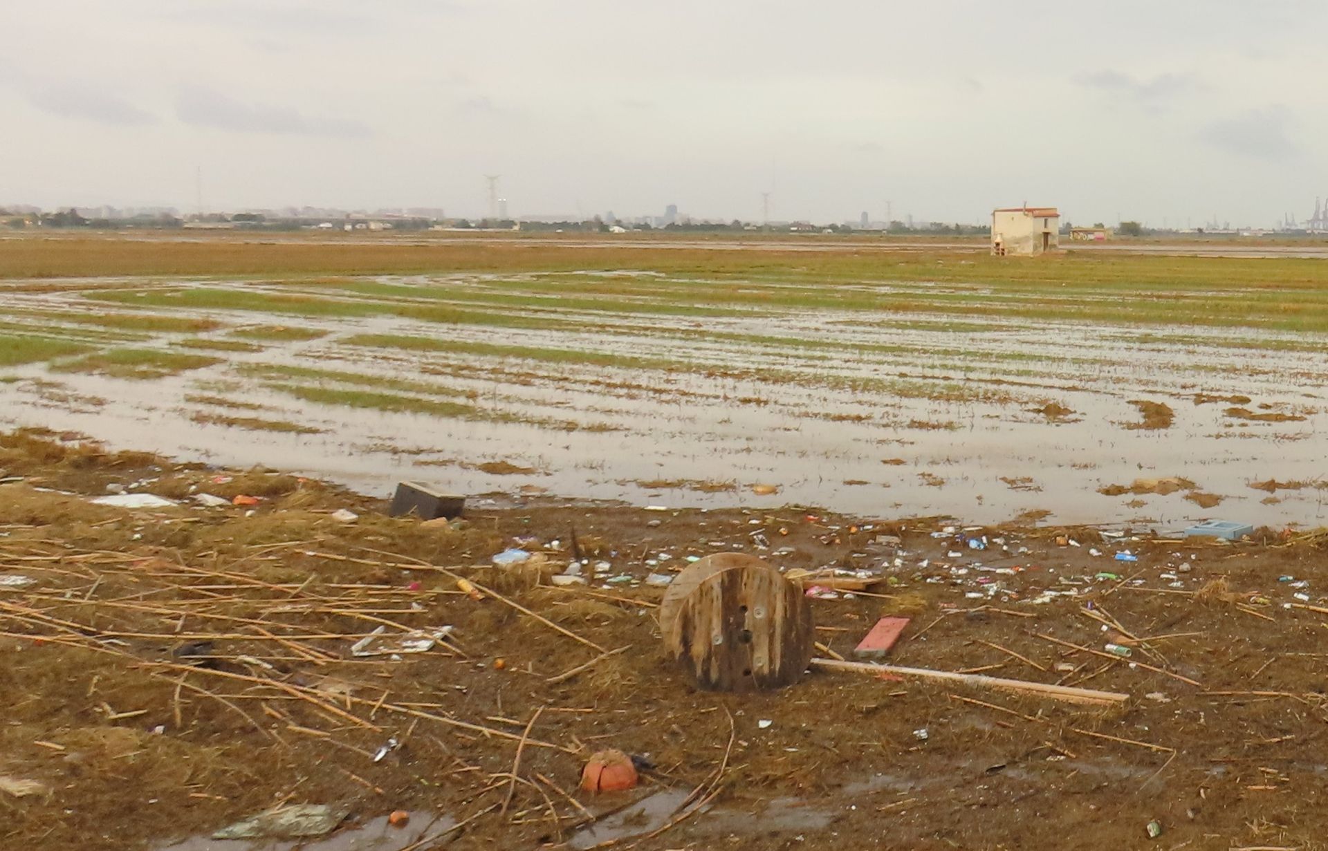 Residuos arrastrados por la DANA en la Albufera