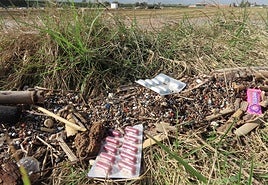 Residuos arrastrados por la DANA en la Albufera
