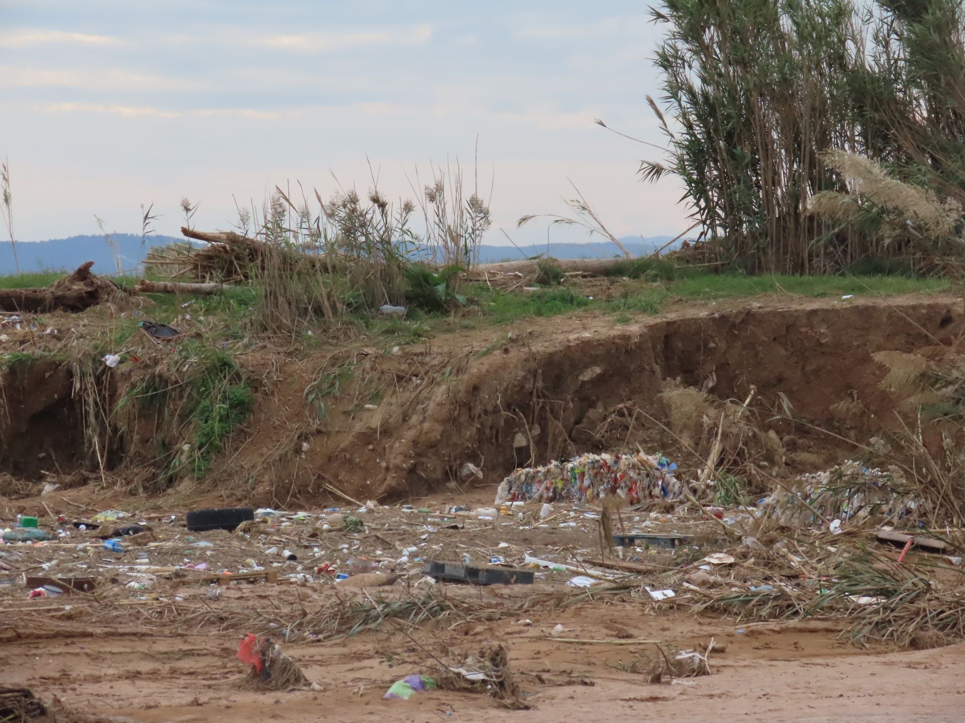 Residuos arrastrados por la DANA en la Albufera