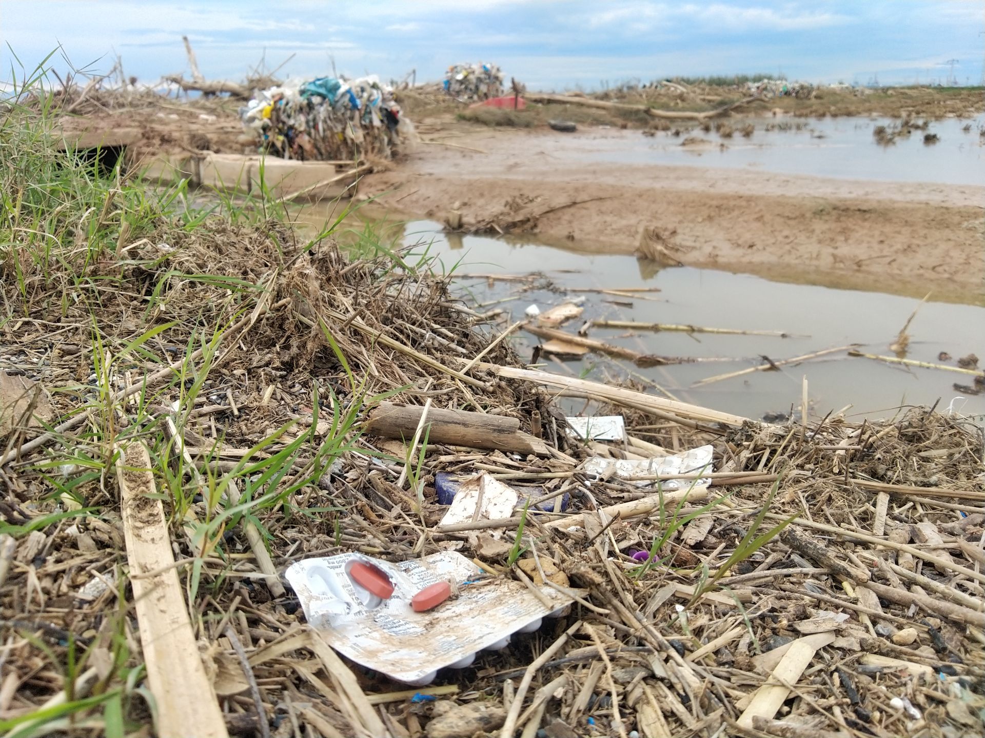 Residuos arrastrados por la DANA en la Albufera