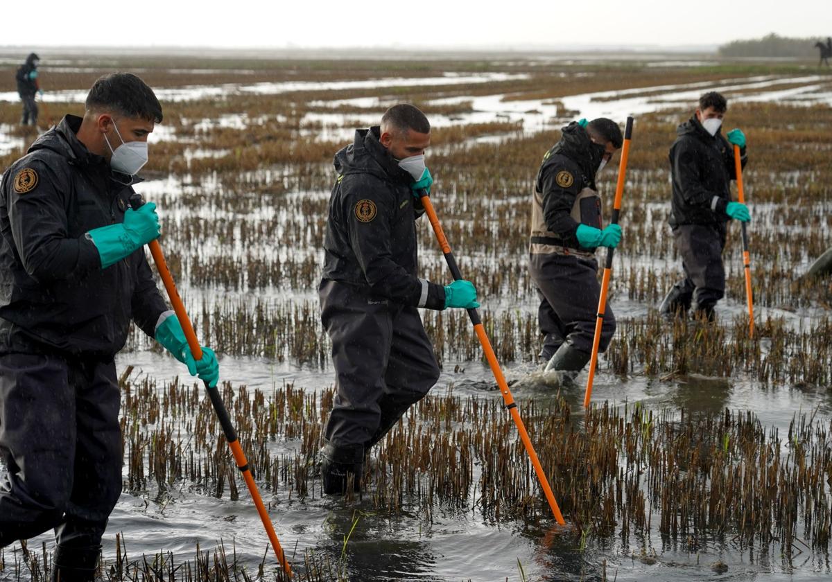 La cifra de víctimas mortales por la Dana de Valencia se mantiene en 221 y los expedientes activos por desaparición en 5 este domingo