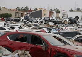 Campas de coches siniestrados en Alfafar.