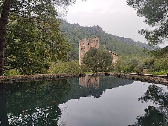 Alzira ampliará la superficie del paraje Murta-Casella para conectar ambos espacios naturales