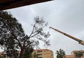 Primeros trabajos de montaje de los barracones.