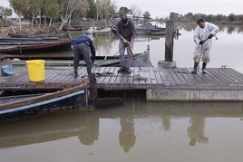 Vista de la Albufera.