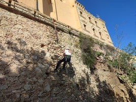 Trabajador limpiando la muralla del Castillo de Cullera.