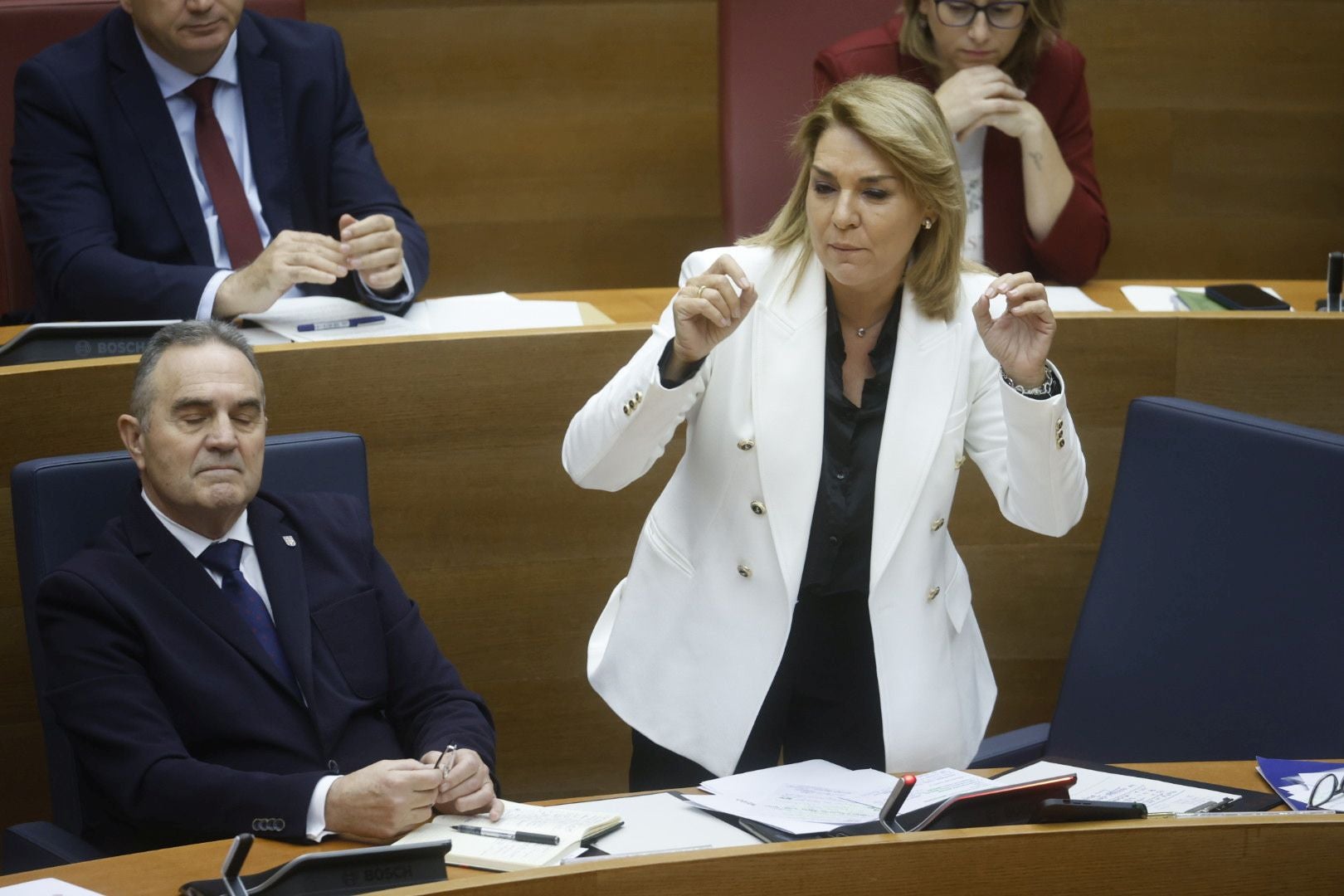 FOTOS | Sesión de control a Mazón en Les Corts