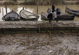 El puerto de Catarroja, repleto de cañas.