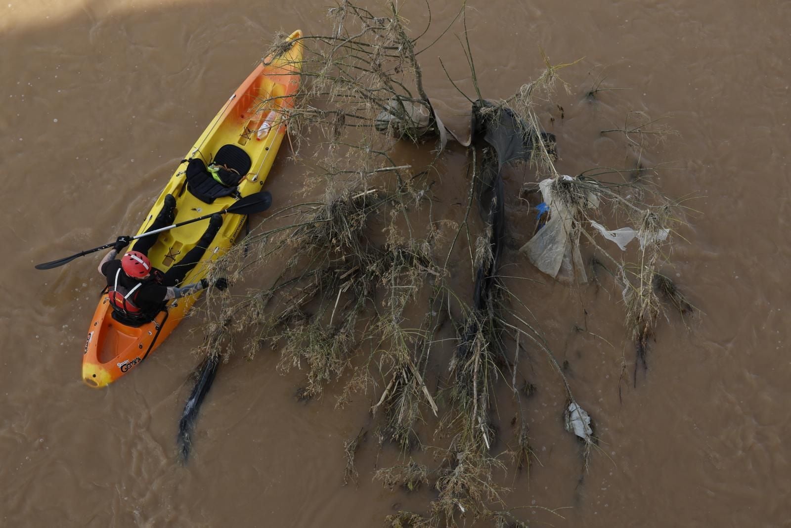 Así está la Albufera de Valencia un mes después de la DANA