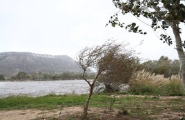 El río Júcar a su paso por Cullera.