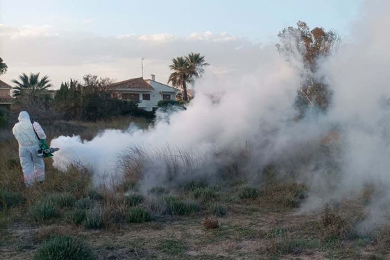 Labores de prevención contra los mosquitos.