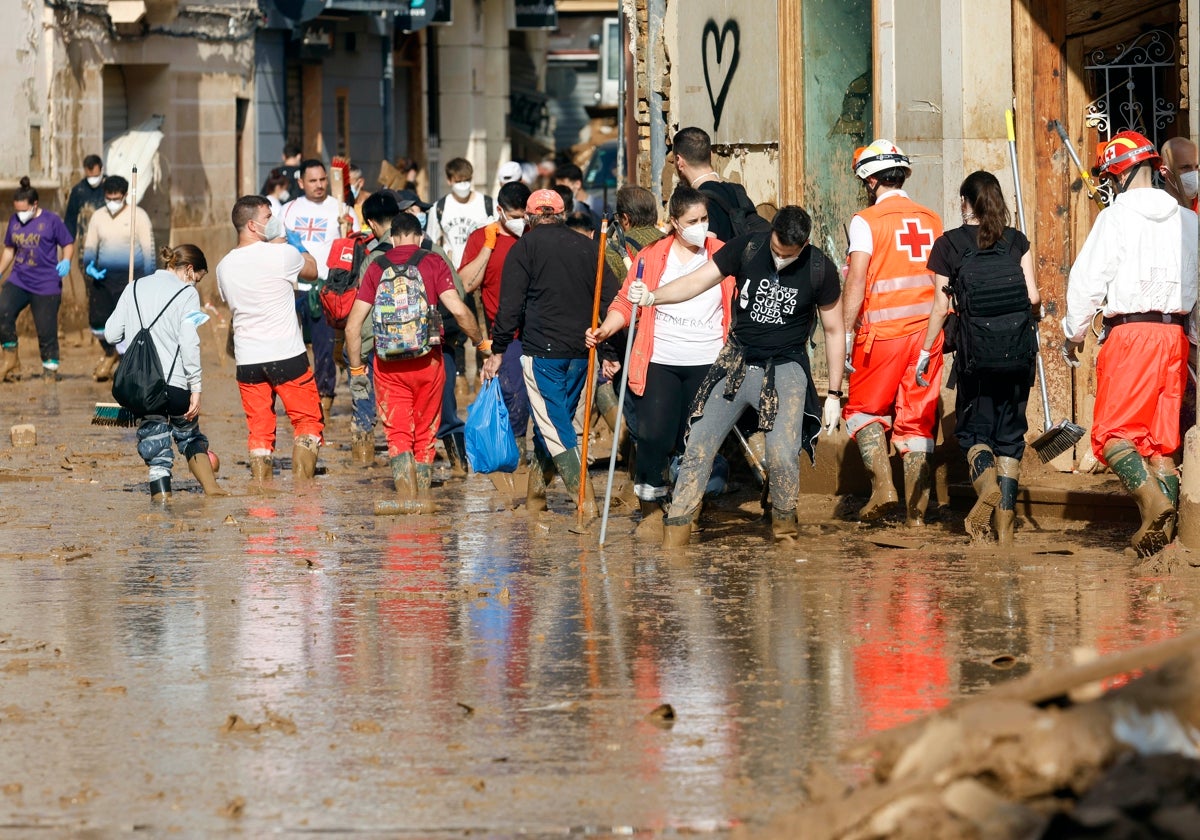 Voluntariado.