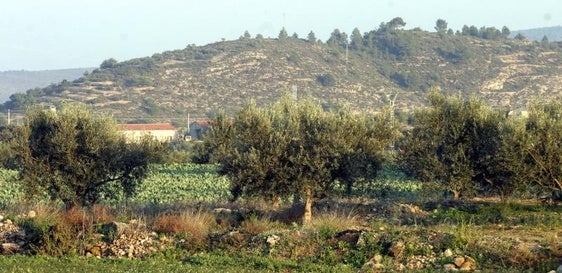 Vista del monte de Bolbaite