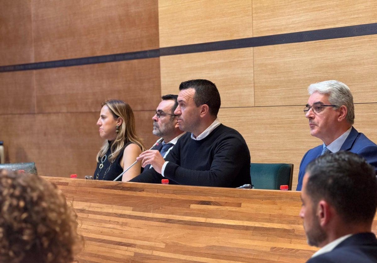 El presidente de la Diputación de Valencia, Vicent Mompó, en el pleno de este miércoles.