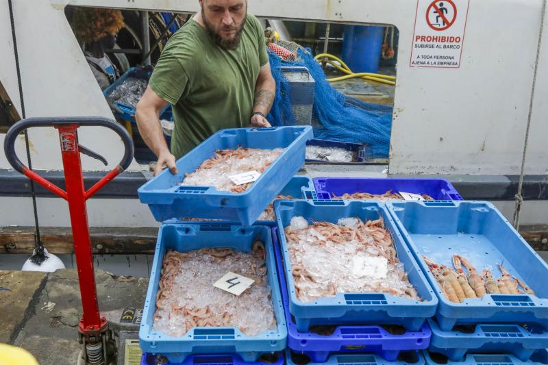 Un pescdor de Dénia a su llegada al puerto.